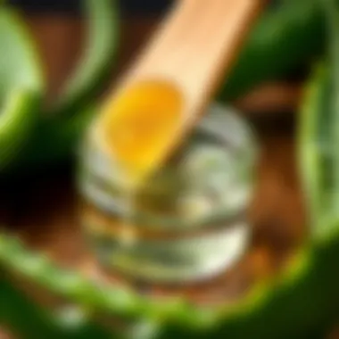 Close-up of aloe vera gel being extracted