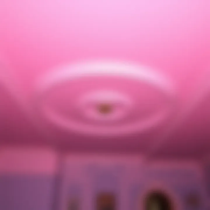 A finished ceiling showcasing a flawless paint job