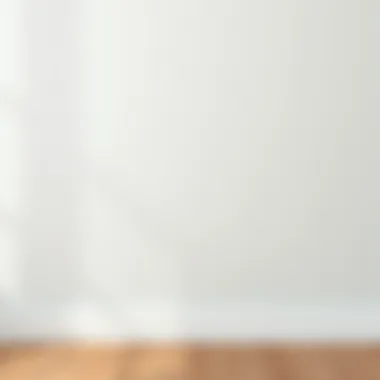 Finished painted wall showcasing smooth texture