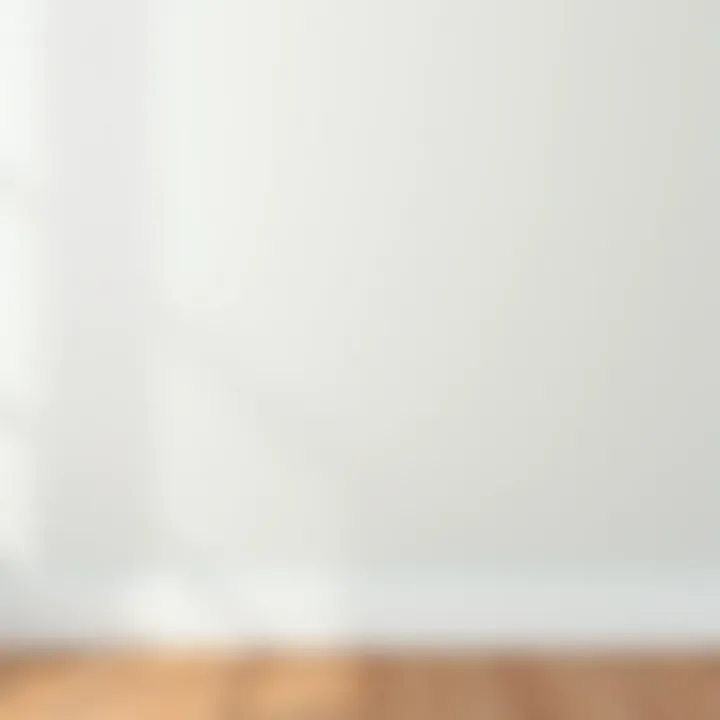 Finished painted wall showcasing smooth texture