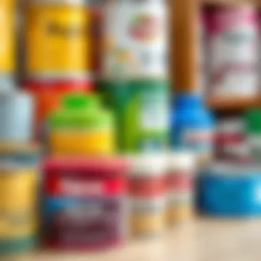 Different types of paint containers displayed