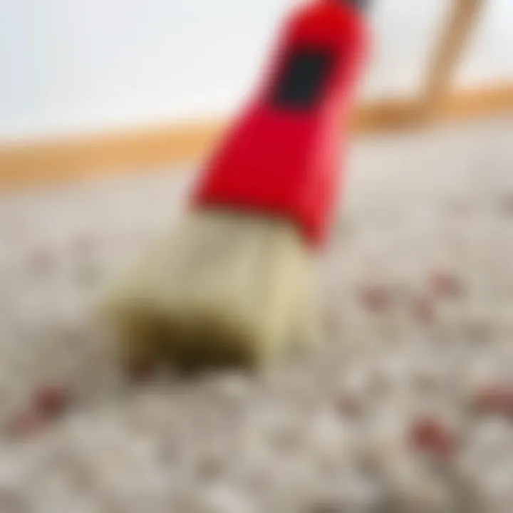 A carpet brush effectively removing debris