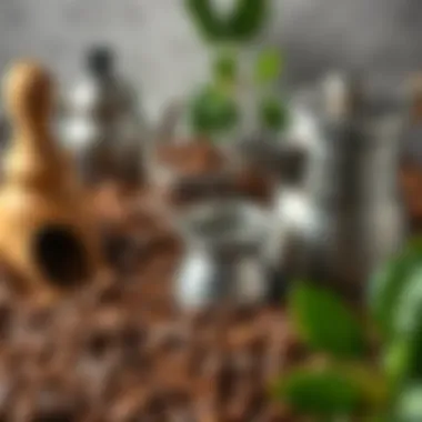 A collection of coffee beans and brewing tools arranged aesthetically.