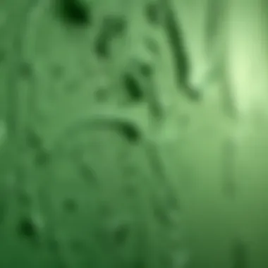 Textured Green Paint Close-up of textured green paint on a wall