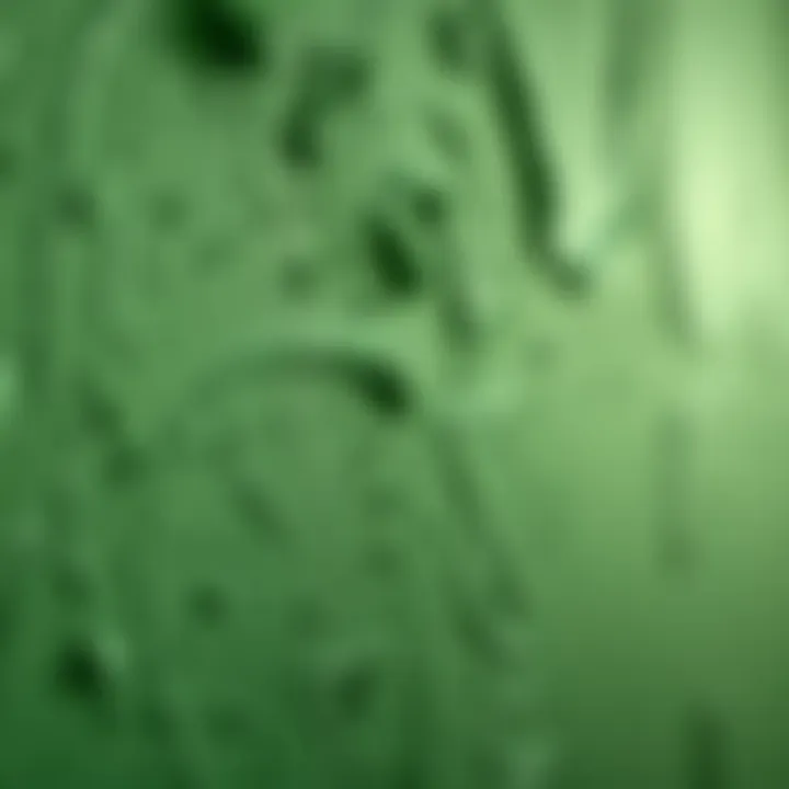 Textured Green Paint Close-up of textured green paint on a wall