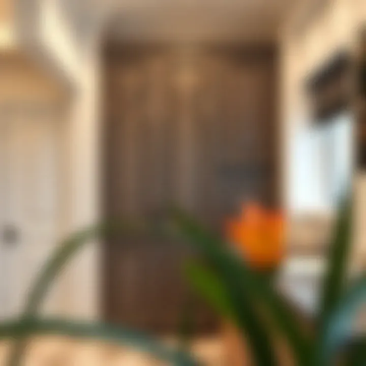 Stylish cabinet door designs and patterns