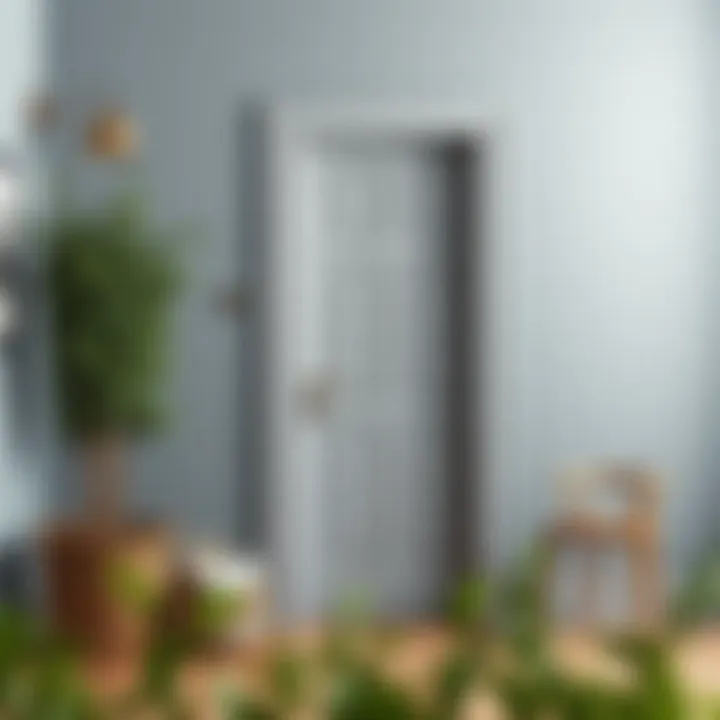 DIY tips for selecting door colors with grey wall paint