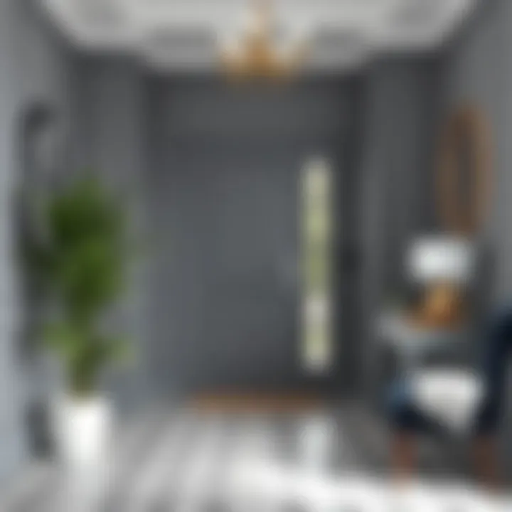 Elegant entryway showcasing grey walls and a contrasting door