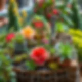 A beautifully arranged hobby garden with diverse plants and decorative elements.