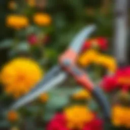 Close-up of pruning shears on a flower garden