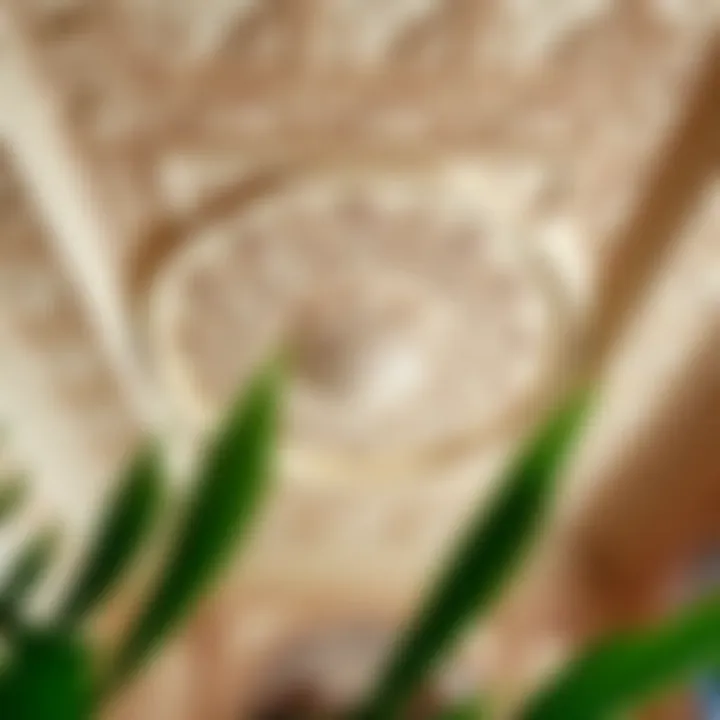 Elegant ceiling design with intricate patterns and textures