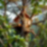 A stunning treehouse blending seamlessly with nature