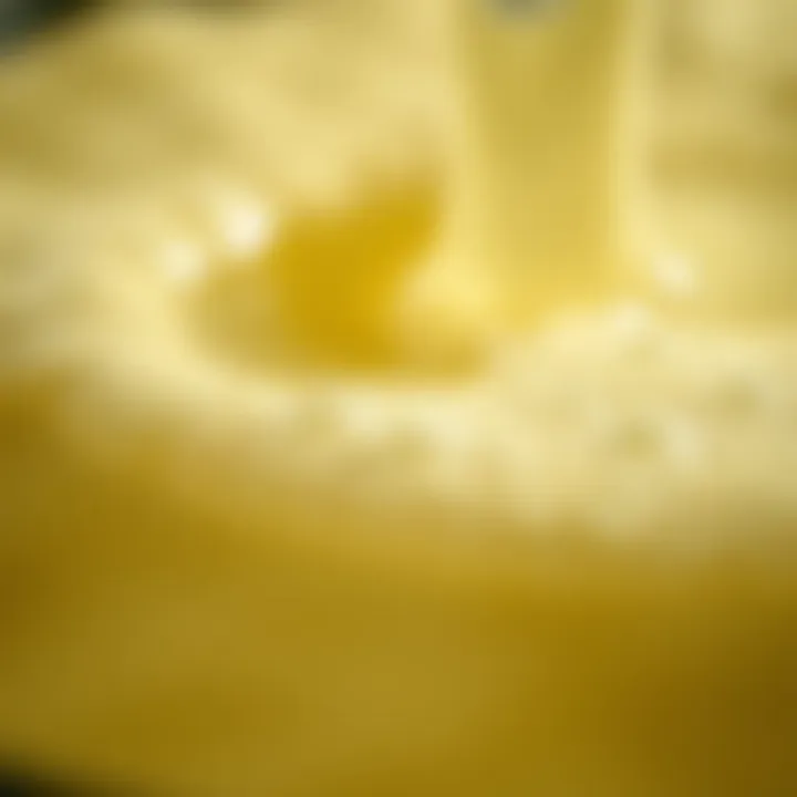 A close-up of a fermentation process showcasing bubbling brine