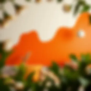 Vibrant shades of orange wall paint