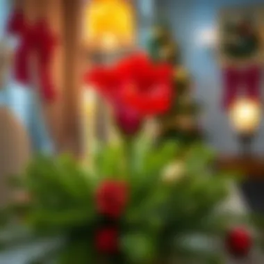 Vibrant Christmas flower in a cozy home setting